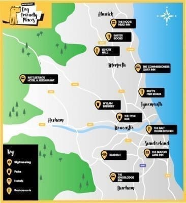 Dog friendly places to visit in North East 
