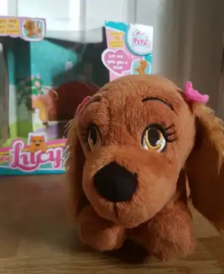 Lucy the Dog with the box behind.