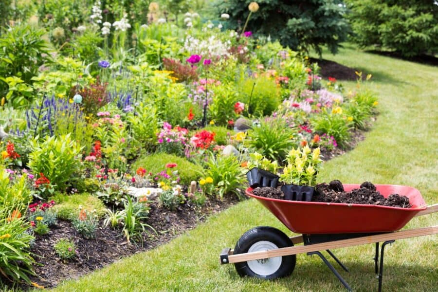 Garden refresh with colourful flower beds and a red wheelbarrow filled with plants and soil ready for planting.