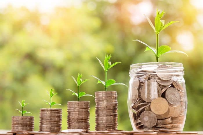 stacks of coins growing in size with seedlings growing behind them
