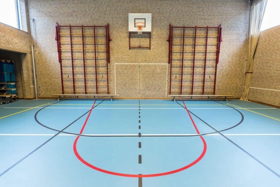 An indoor gymnasium with a light blue floor marked with basketball and other sports court lines in black, red, white, and yellow. A basketball hoop is mounted on a brick wall, flanked by two sets of red climbing frames. The space is brightly lit with natural light from high windows.