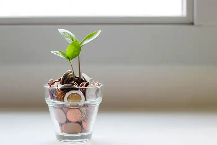A pot of copper coins with a sapling growing out of it.
