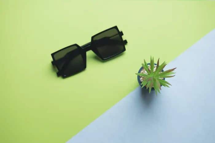 A pair of dark, thick rimmed sunglasses placed on a green flat background with a pot plant.