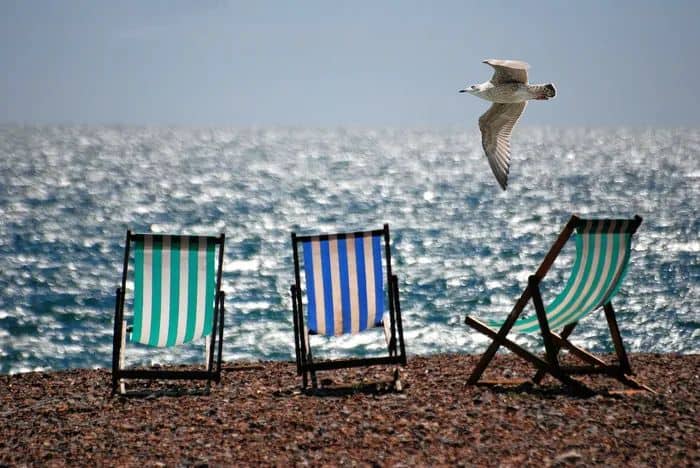Three deckchairs facing the sea on a pebbly beach with a seagull flying over the chairs.