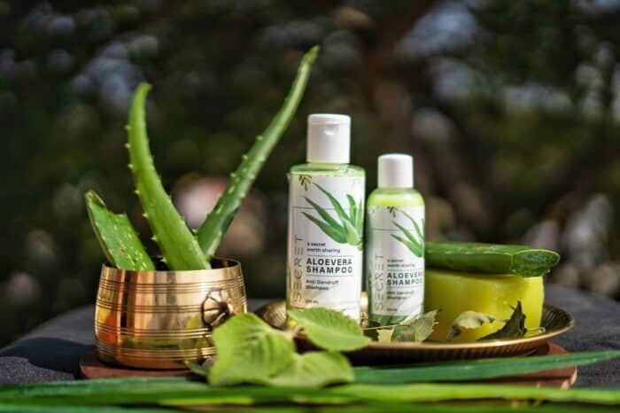 Healthy haircare treatments with aloe vera.