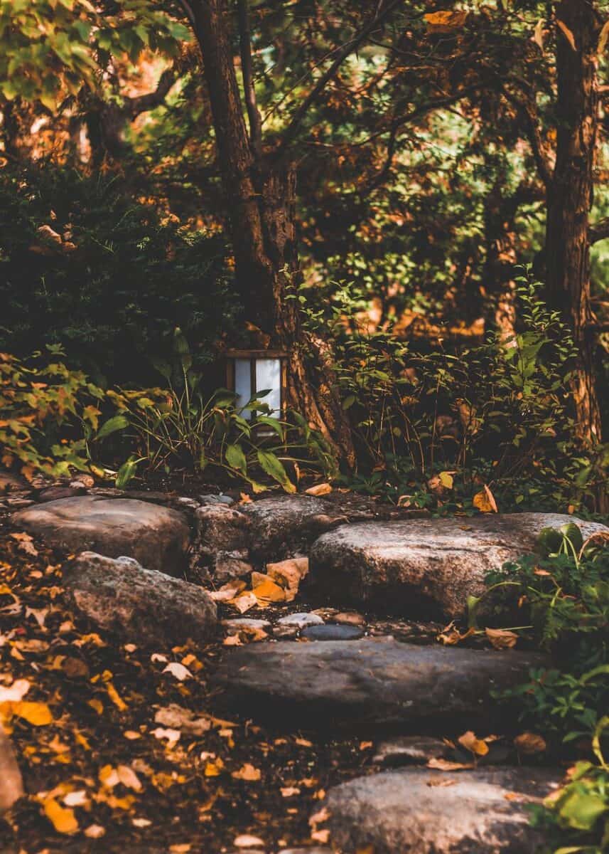 A lantern guiding the way by garden steps.