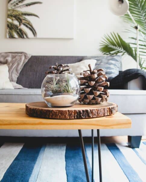 A cosy corner of a living room featuring a rustic wooden coffee table with a glass terrarium housing air plants and a stack of large pine cones, set against a grey couch with plush cushions and a palm plant painting in the background, contributing to a French country interior design theme.