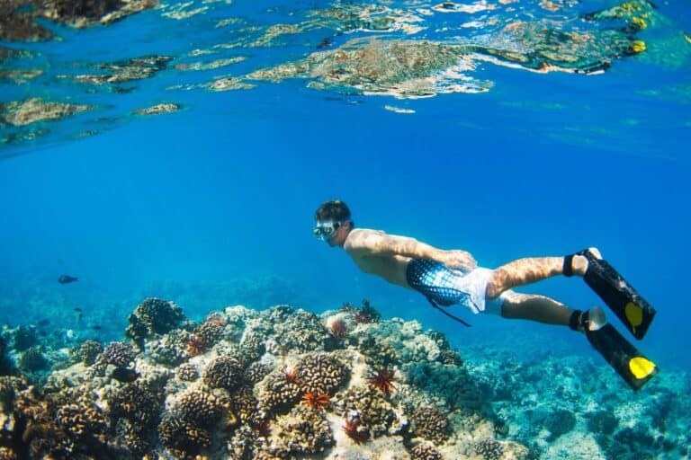 A man wearing checkered swim shorts and flippers snorkels over a vibrant coral reef in clear blue water, showcasing an ideal winter sun escape.