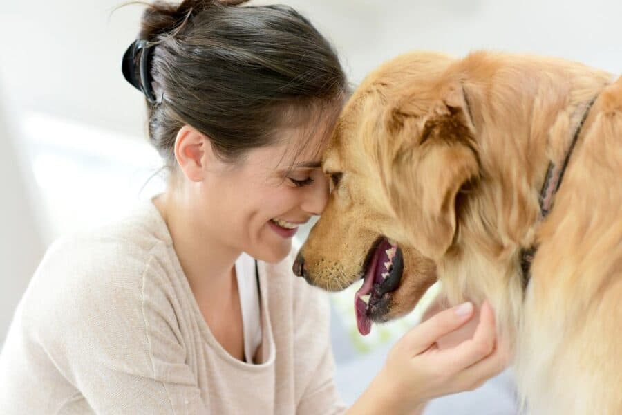 A smiling woman gently leaning her forehead against a golden retriever, showcasing how spending time with animals is a great mood booster.