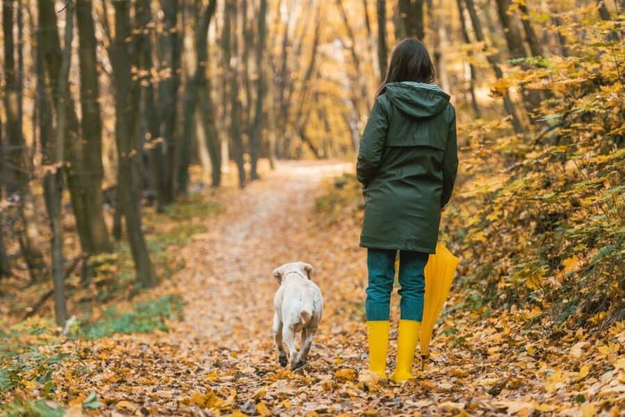 A woman walking her dog on a leafy autumn path, symbolising the benefits of spending time outdoors to naturally boost your mood.