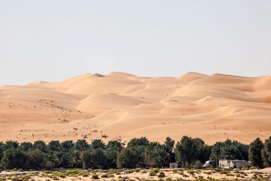 Golden sand dunes of the Empty Quarter desert with lush palm trees for exploring the UAE’s desert landscapes.