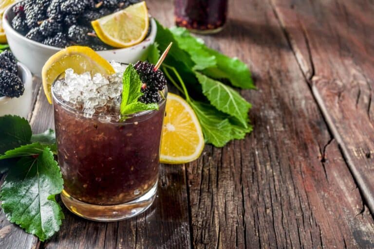 Refreshing low-calorie blackberry cocktail with lemon and mint – perfect for guilt free drinking.