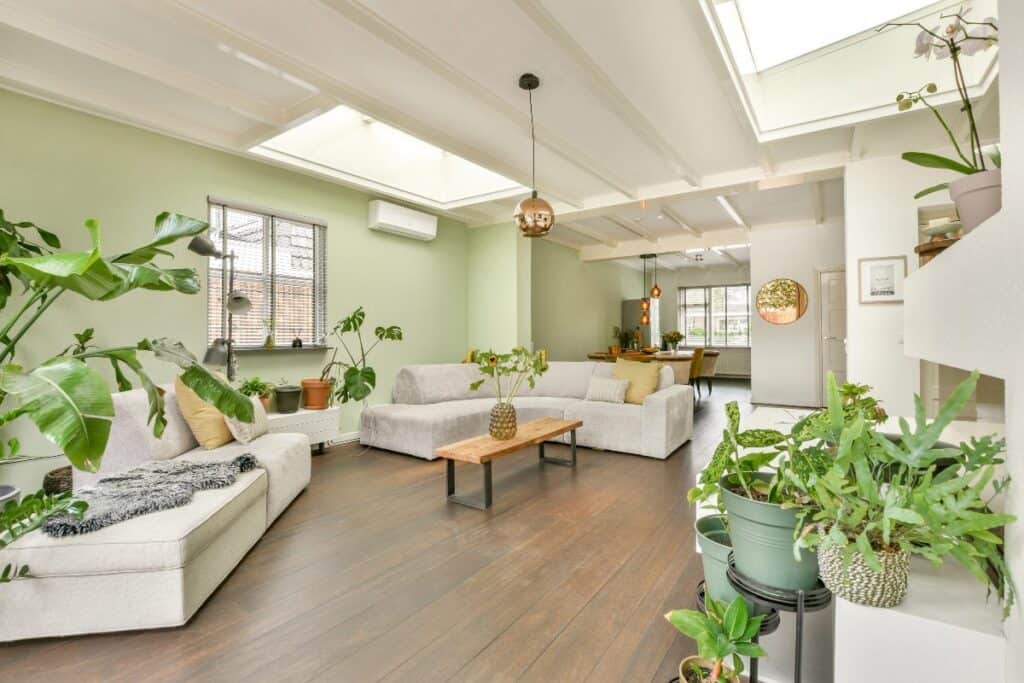 Bright spring living room with natural light, houseplants and soft green walls
