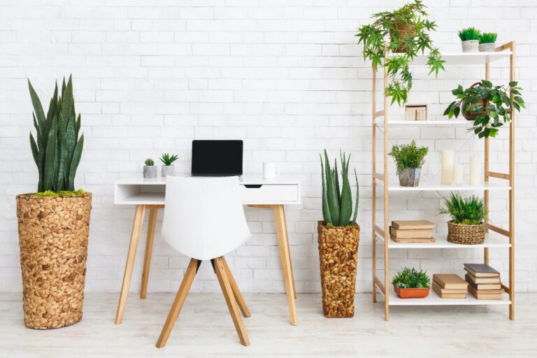 Minimalist workspace with white desk, chair, shelving unit and indoor plants against a white brick wall.