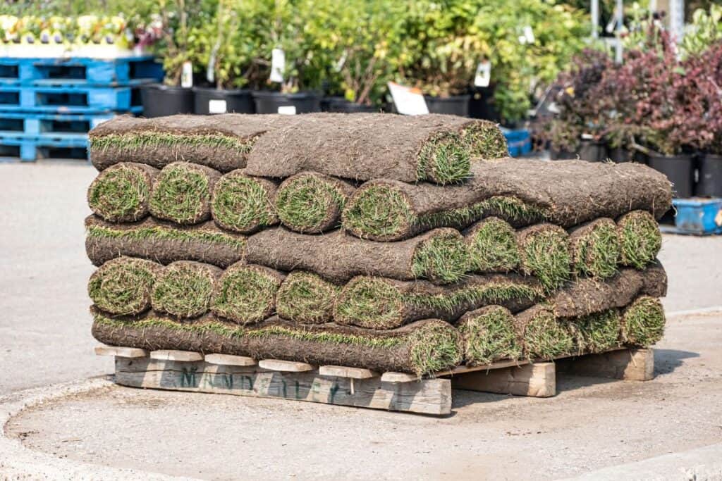 Rolls of turf stacked on a wooden pallet ready for a garden project.