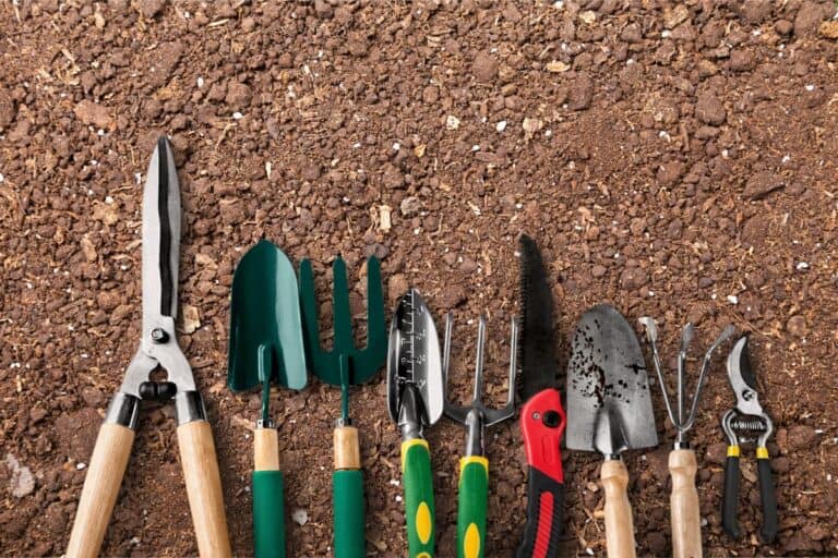 Gardening tools laid out on soil before starting an outdoor garden project.