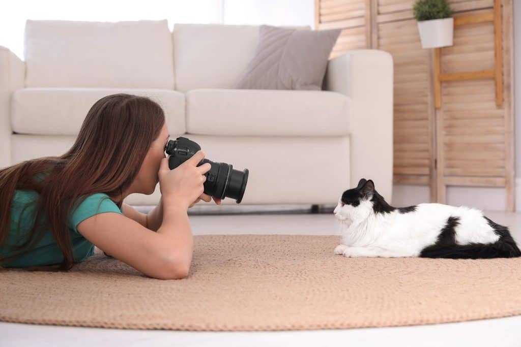 Woman taking a photo of a black and white cat at home