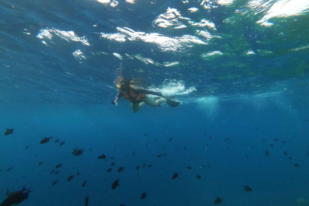 Snorkeller swimming above tropical fish in clear blue water in Bali.