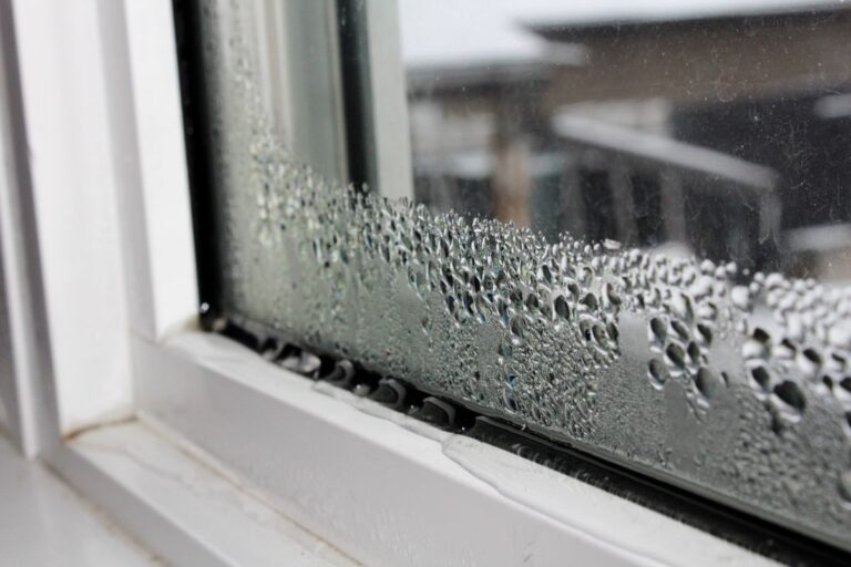 Close-up of condensation droplets on a window pane.